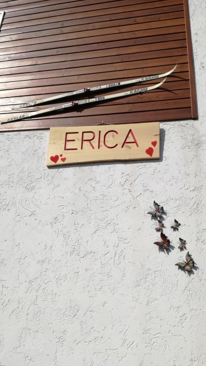 Casa Erica - Carano Διαμέρισμα Εξωτερικό φωτογραφία